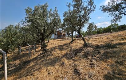 C21 Cius; Gedelek 1865m² Göl ve Doğa Manzaralı Yola Cephe Fırsat