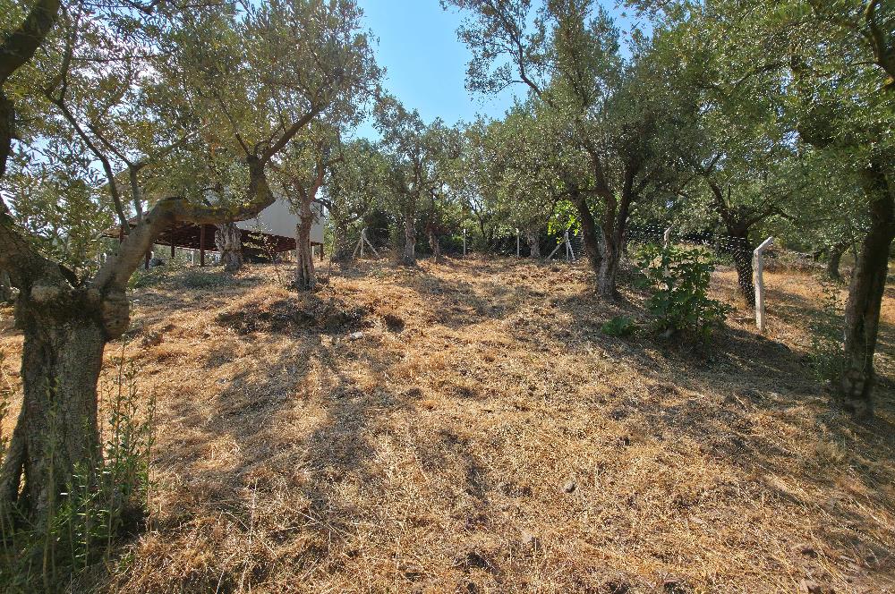 C21 Cius; Gedelek 1865m² Göl ve Doğa Manzaralı Yola Cephe Fırsat