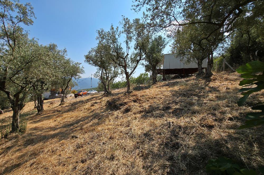 C21 Cius; Gedelek 1865m² Göl ve Doğa Manzaralı Yola Cephe Fırsat