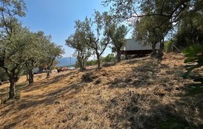 C21 Cius; Gedelek 1865m² Göl ve Doğa Manzaralı Yola Cephe Fırsat