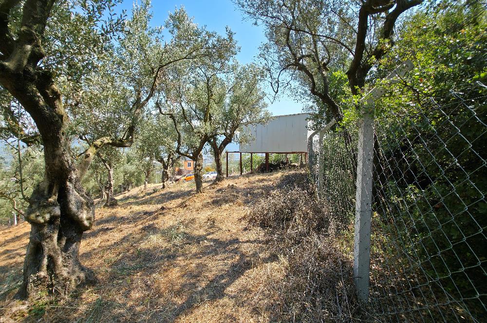 C21 Cius; Gedelek 1865m² Göl ve Doğa Manzaralı Yola Cephe Fırsat