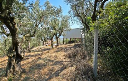 C21 Cius; Gedelek 1865m² Göl ve Doğa Manzaralı Yola Cephe Fırsat