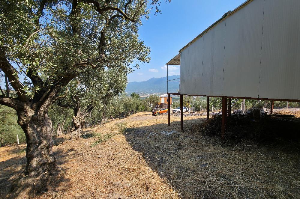 C21 Cius; Gedelek 1865m² Göl ve Doğa Manzaralı Yola Cephe Fırsat