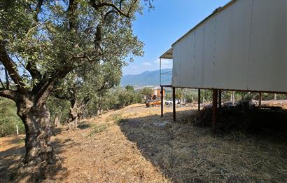 C21 Cius; Gedelek 1865m² Göl ve Doğa Manzaralı Yola Cephe Fırsat
