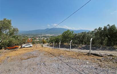 C21 Cius; Gedelek 1865m² Göl ve Doğa Manzaralı Yola Cephe Fırsat