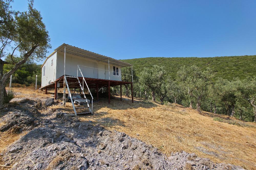 C21 Cius; Gedelek 1865m² Göl ve Doğa Manzaralı Yola Cephe Fırsat
