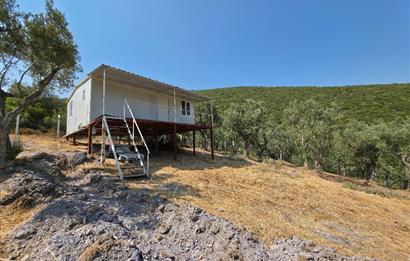 C21 Cius; Gedelek 1865m² Göl ve Doğa Manzaralı Yola Cephe Fırsat