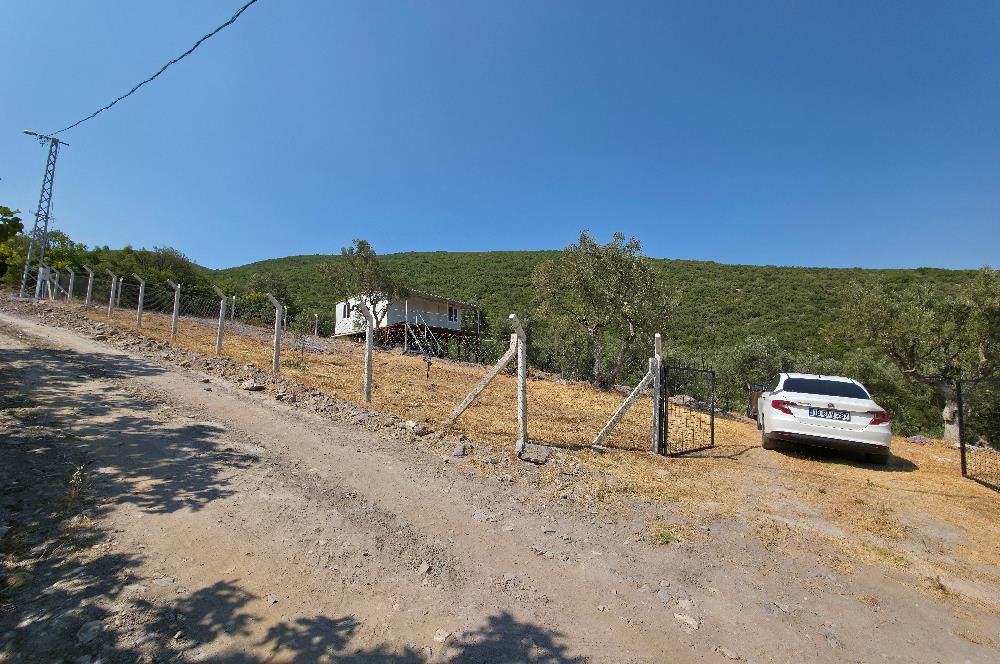 C21 Cius; Gedelek 1865m² Göl ve Doğa Manzaralı Yola Cephe Fırsat