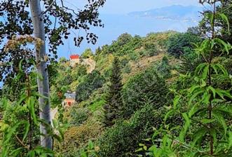Century 21'den Espiye Gülburnunda Bungalov'a Uygun Arsa!