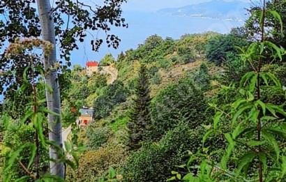 Century 21'den Espiye Gülburnunda Bungalov'a Uygun Arsa!