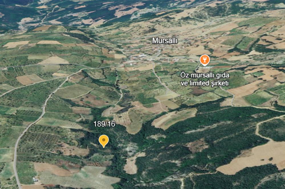 TEKİRDAĞ ŞARKÖY'DE YATIRIMLIK TARLA