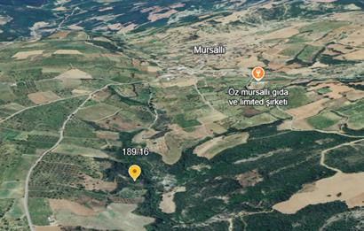 TEKİRDAĞ ŞARKÖY'DE YATIRIMLIK TARLA