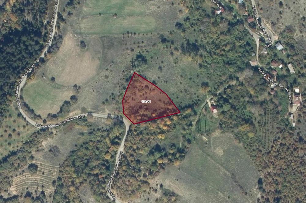 BOLU MUDURNU KARAPINARKAVAĞI KABALAR MEVKİİNDE SATILIK TARLA