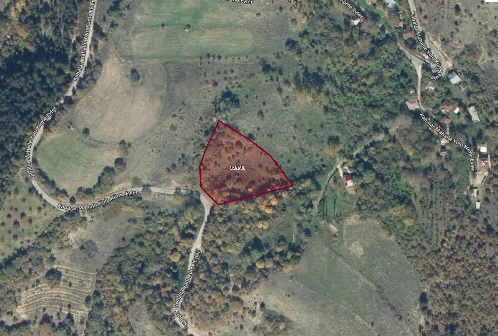 BOLU MUDURNU KARAPINARKAVAĞI KABALAR MEVKİİNDE SATILIK TARLA