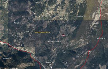 BOLU MUDURNU KARAPINARKAVAĞI KABALAR MEVKİİNDE SATILIK TARLA