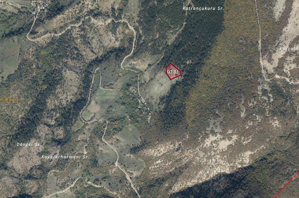 BOLU MUDURNU KARAPINARKAVAĞI KÖYÜNDE SATILIK SATILIK TARLA
