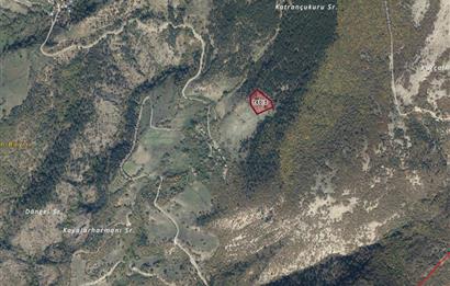 BOLU MUDURNU KARAPINARKAVAĞI KÖYÜNDE SATILIK SATILIK TARLA