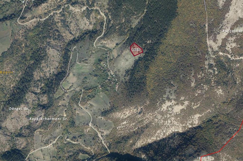 BOLU MUDURNU KARAPINARKAVAĞI KÖYÜNDE SATILIK SATILIK TARLA