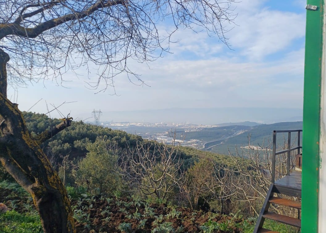 C21 Cius; Yeniköy'de Deniz Manzaralı Bahçe