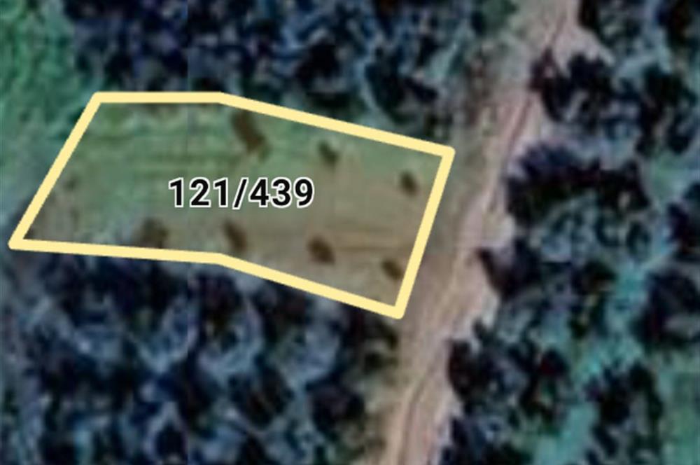 C21 Cius; Yeniköy'de Fırsat Hobi Bahçesi