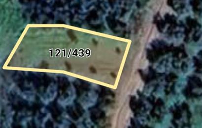 C21 Cius; Yeniköy'de Fırsat Hobi Bahçesi