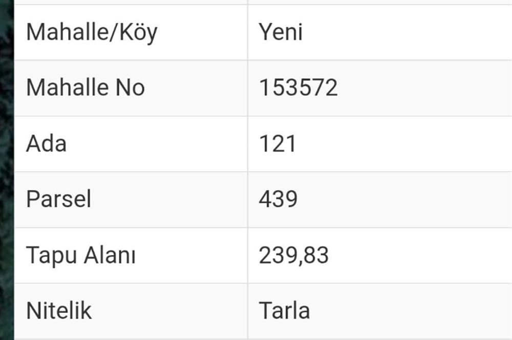 C21 Cius; Yeniköy'de Fırsat Hobi Bahçesi