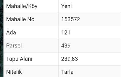 C21 Cius; Yeniköy'de Fırsat Hobi Bahçesi