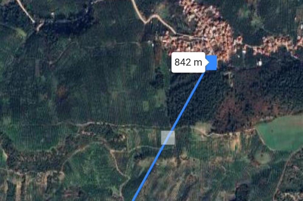 C21 Cius; Yeniköy'de Fırsat Hobi Bahçesi