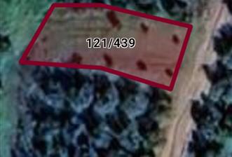 C21 Cius; Yeniköy'de Fırsat Hobi Bahçesi