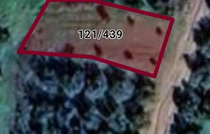 C21 Cius; Yeniköy'de Fırsat Hobi Bahçesi