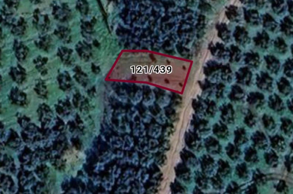 C21 Cius; Yeniköy'de Fırsat Hobi Bahçesi