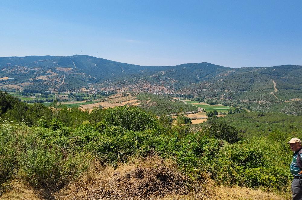 C21 LOCA'DAN KEPSUT MESTANLAR'DA ORMAN İÇİNDE TARLA