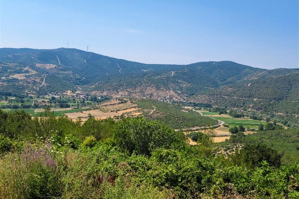 C21 LOCA'DAN KEPSUT MESTANLAR'DA ORMAN İÇİNDE TARLA