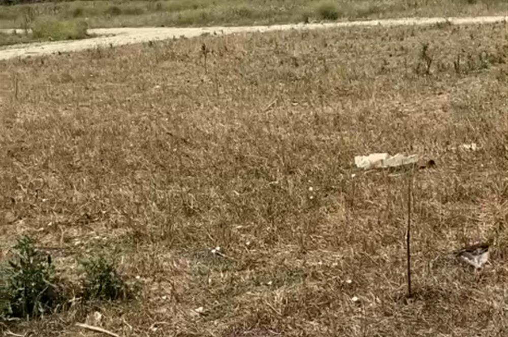 Çanakkale Çan ilcesinde Villa imarli Arsa