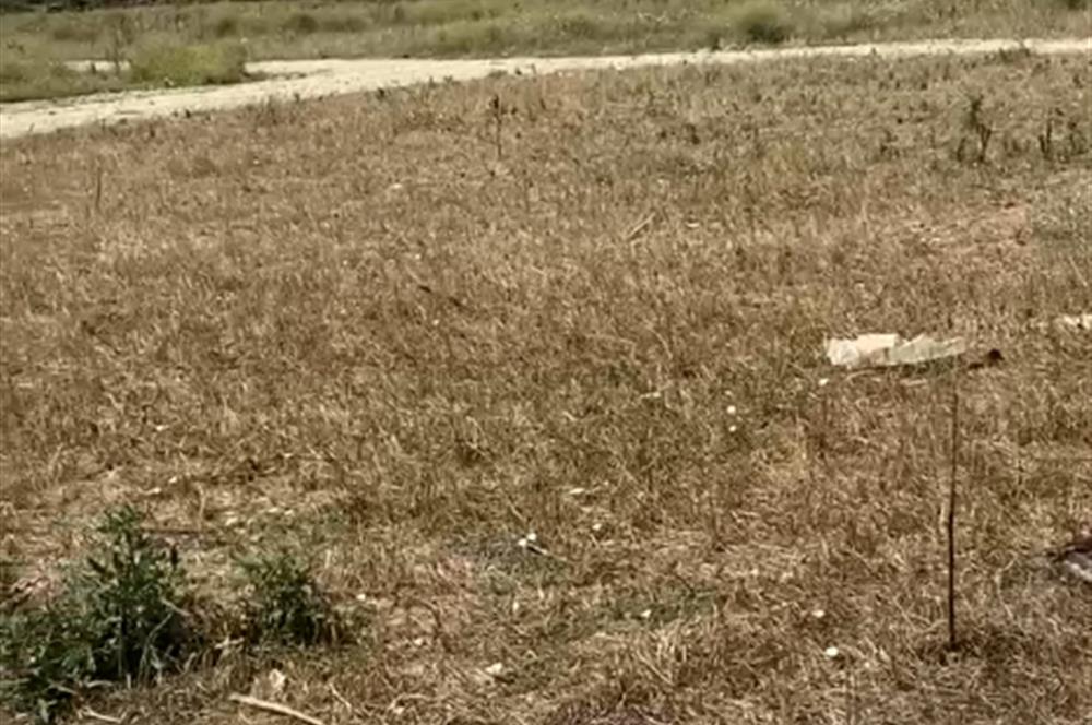 Çanakkale Çan ilcesinde Villa imarli Arsa