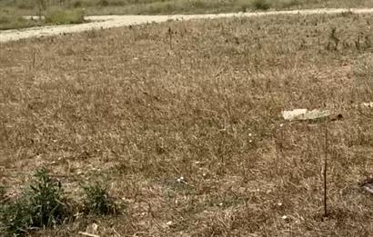 Çanakkale Çan ilcesinde Villa imarli Arsa