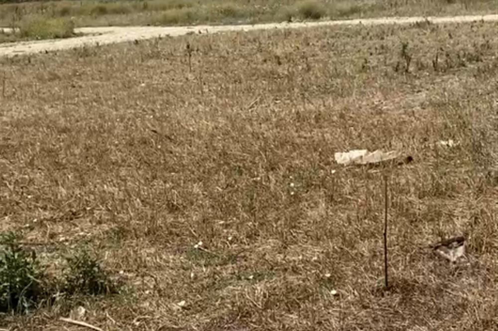 Çanakkale Çan ilcesinde Villa imarli Arsa