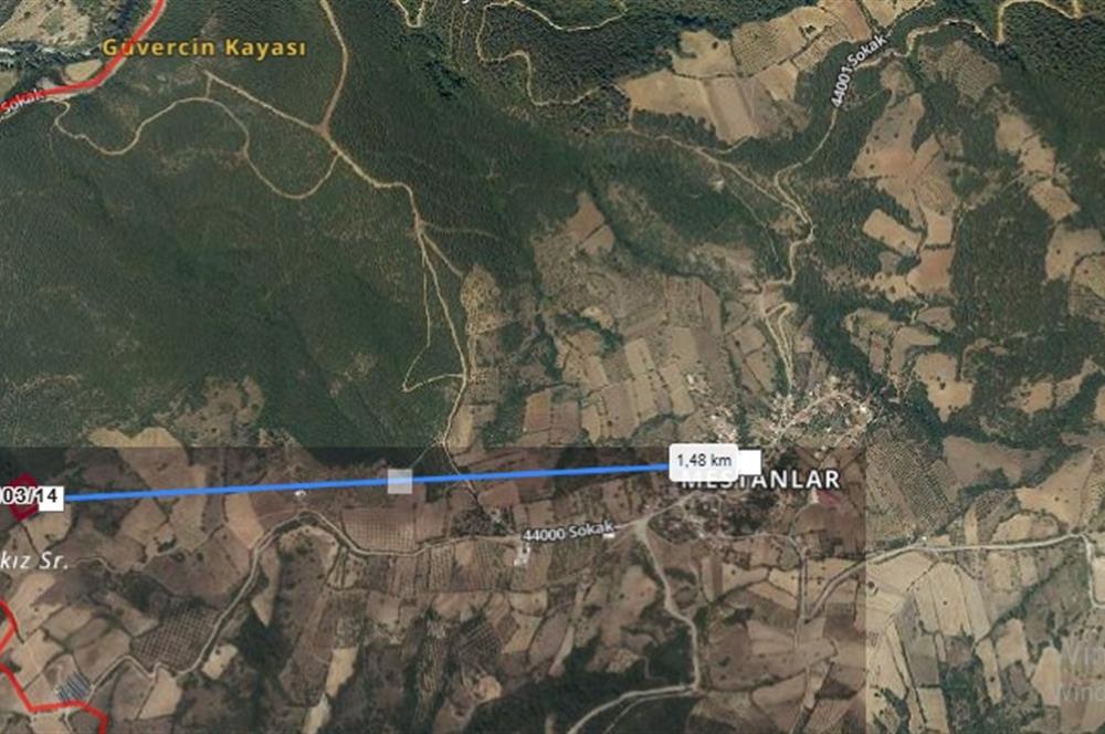 C21 LOCA'DAN KEPSUT MESTANLAR'DA ORMAN İÇİNDE TARLA