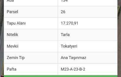 CENTURY 21 LOFT'DAN AB STANDARTLARINDA SATILIK ÇİFTLİK