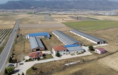 CENTURY 21 LOFT'DAN AB STANDARTLARINDA SATILIK ÇİFTLİK