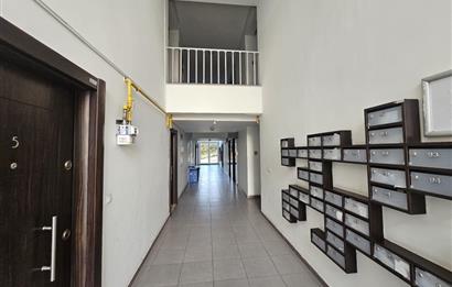 DUMANKAYA DİZAYN 1+0 EŞYALARI YENİ BOŞ DAİRE