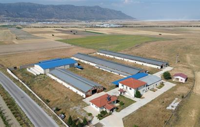 CENTURY 21 LOFT'DAN AB STANDARTLARINDA SATILIK ÇİFTLİK