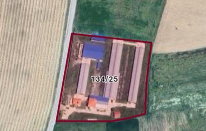 CENTURY 21 LOFT'DAN AB STANDARTLARINDA SATILIK ÇİFTLİK