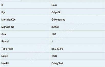 BOLU GÖYNÜK'TE BARAJA YAKIN SATILIK ARSA