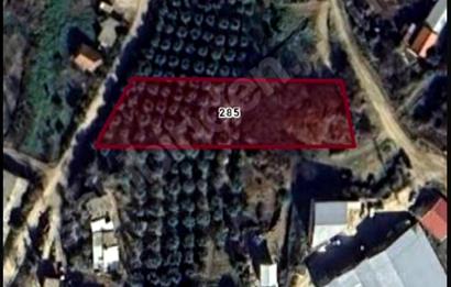 C21 NOVO'DAN KARACABEY KEDİKAYA'DA 2.402 m2 ARSA