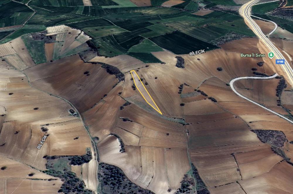 Yatırımlık Fırsat! Bursa - Bilecik Sınırında 4.300 m² Tarla Satılık!
