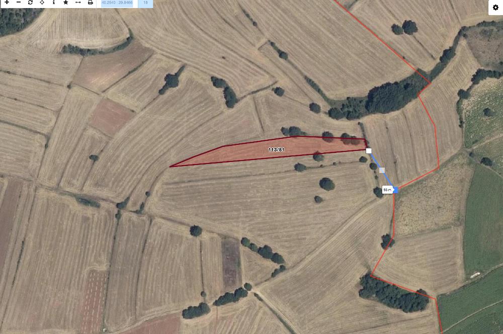 Yatırımlık Fırsat! Bursa - Bilecik Sınırında 4.300 m² Tarla Satılık!