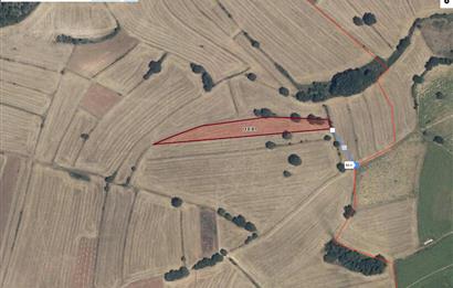 Yatırımlık Fırsat! Bursa - Bilecik Sınırında 4.300 m² Tarla Satılık!