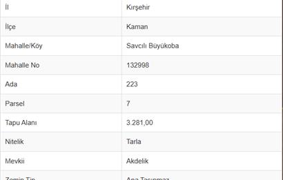 KIRŞEHİR KAMAN SAVCILI BÜYÜKOBA MAHALLESİNDE SATILIK TARLA
