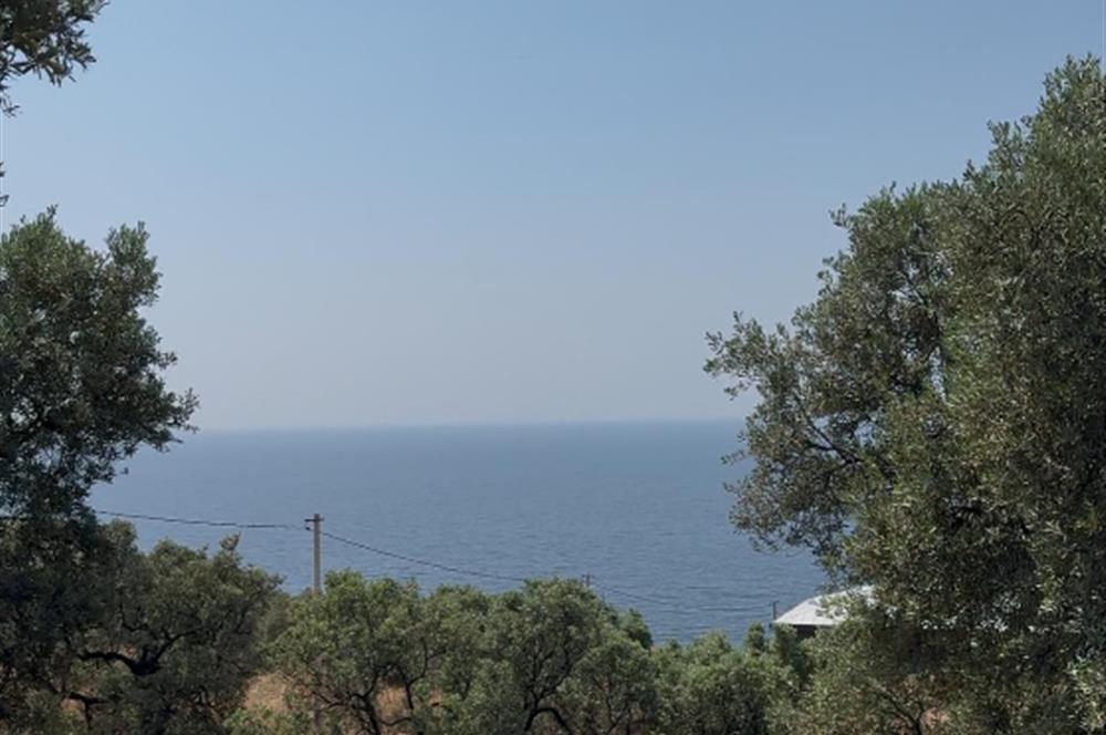 C21 Cius; Kurşunlu'da Satılık Villa İmarlı 1086 m2 Arsa
